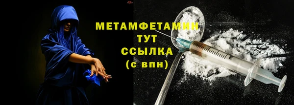 гидра Каменногорск