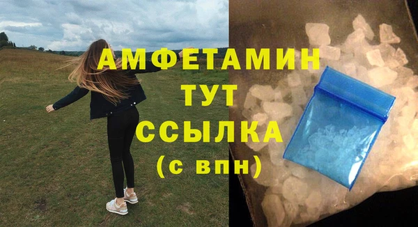 гидра Каменногорск