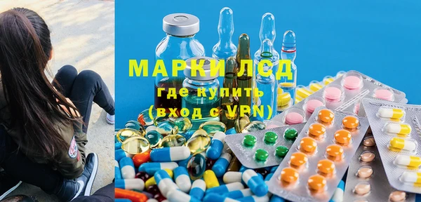 гидра Каменногорск