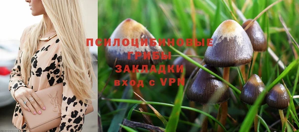 мяу мяу мука Каменск-Шахтинский