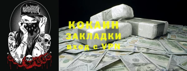 гидра Каменногорск
