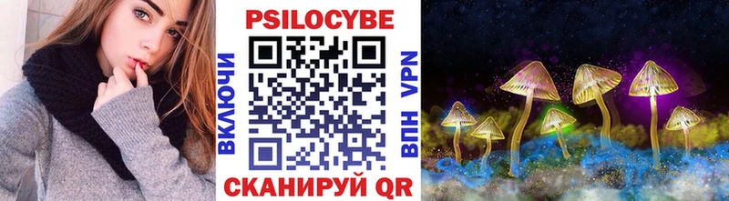 Купить где  Пущино  Галлюциногенные грибы MAGIC MUSHROOMS 
