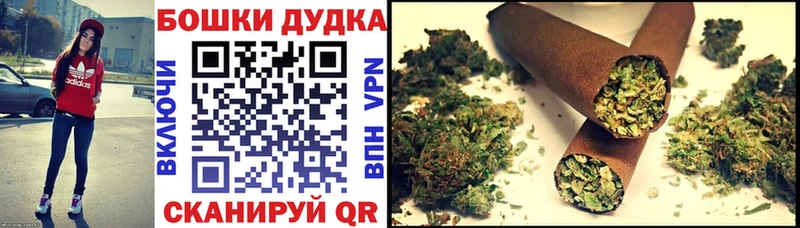 Купить где  Пущино  Бошки Шишки гибрид 